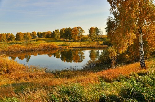 Image brown grass near lake under blue sky during daytime