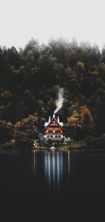 Reflexion, Blatt, Transformation, Wasser, Wasserressourcen. Wallpaper in 1422x3000 Resolution