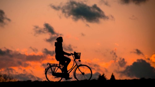 Image silhouette of man riding bicycle during sunset