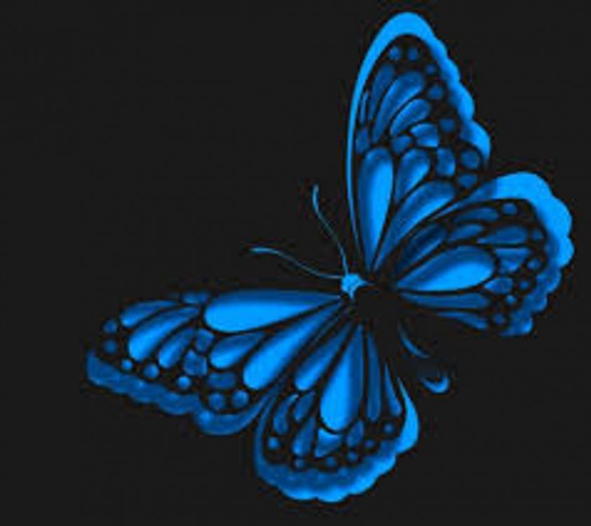 Ilustración de Mariposa Azul y Negra. Wallpaper in 1920x1710 Resolution