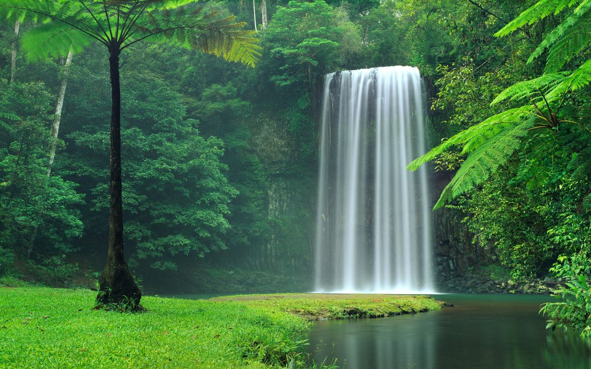 米拉米拉米拉米拉瀑布, 水资源, 性质, 人体内的水, 自然保护区 壁纸 2560x1600 允许