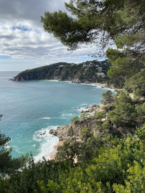 Image coast, body of water, vegetation, ocean, shore