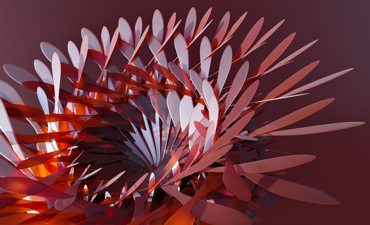 艺术, 和阴影的色彩, 电蓝色的, 显花植物, 深红色的 壁纸 6000x3653 允许