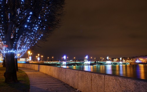 Image lighted string lights on park near body of water during night time