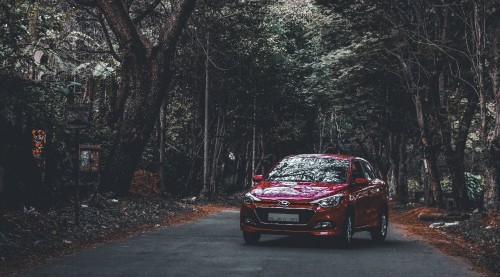 Image red honda car on road in between trees during daytime