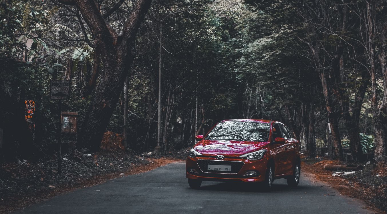 red honda car on road in between trees during daytime