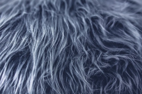 Image black and white fur textile