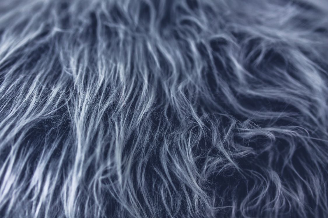 black and white fur textile