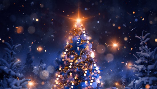 Hãy tận hưởng không khí Giáng sinh ấm áp với những hình nền đầy màu sắc và sinh động. Hãy nhấp vào hình ảnh để tải xuống các hình nền Giáng sinh đáng yêu và tạo không gian noel rực rỡ ngay trên màn hình điện thoại của bạn.
