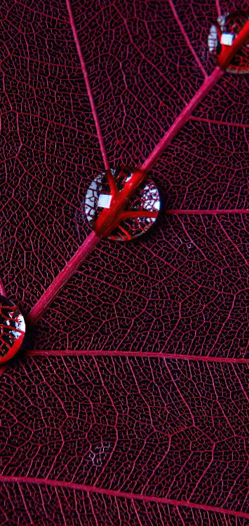 Cercle, Graphisme, Eau, Textile, Purple. Wallpaper in 1421x3000 Resolution