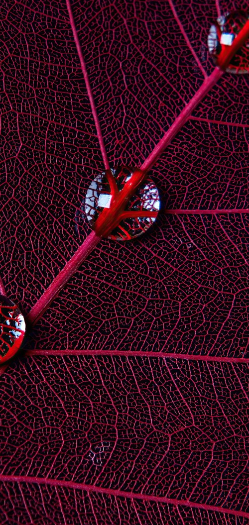 Image circle, graphic design, water, textile, purple