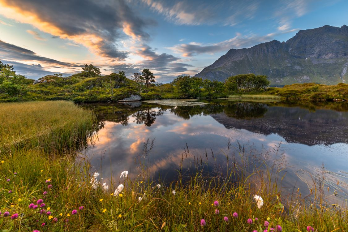Nature, Paysage Naturel, Lac, Environnement Naturel, Fredvang. Wallpaper in 6720x4480 Resolution