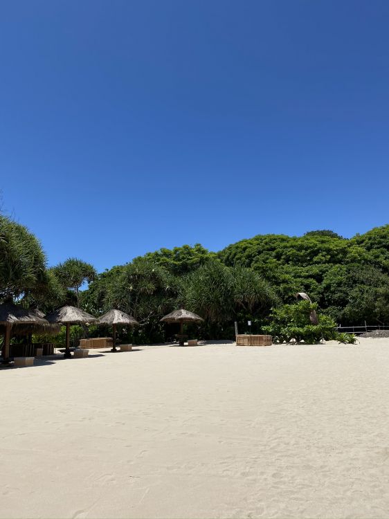 Plage, Eau, Tourisme, Mer, Sand. Wallpaper in 1536x2048 Resolution