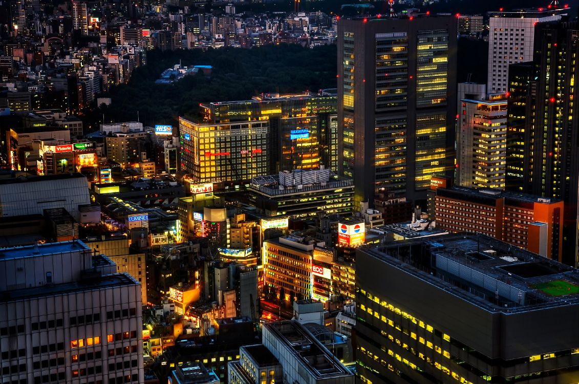 aerial view of city buildings during night time