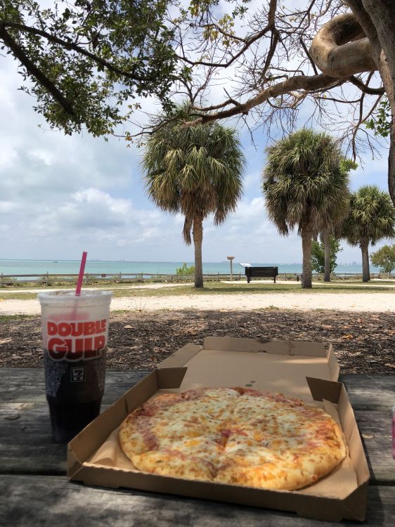 Sciences, Biologie, Aliment, Pizza, Cuisine. Wallpaper in 1536x2048 Resolution