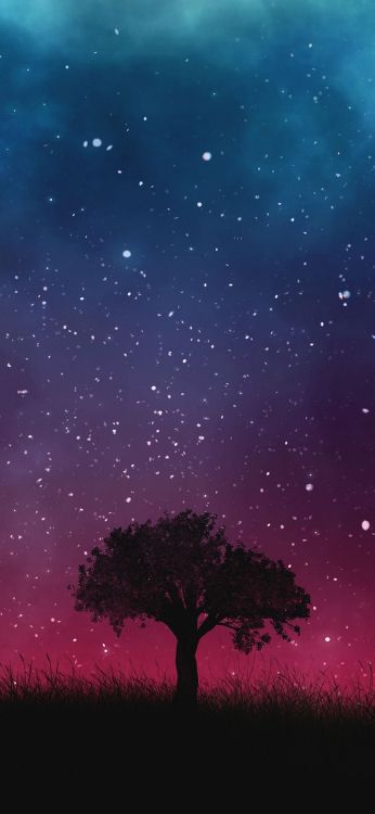 Danke Universum, Universum, Ich Gebe Dir Alles, Atmosphäre, Tageszeit. Wallpaper in 1080x2340 Resolution