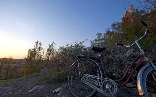 Image red and black mountain bike on gray rock during daytime