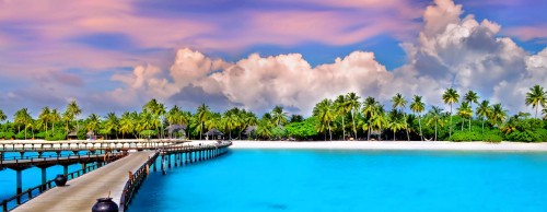 Image green palm trees near swimming pool under white clouds and blue sky during daytime