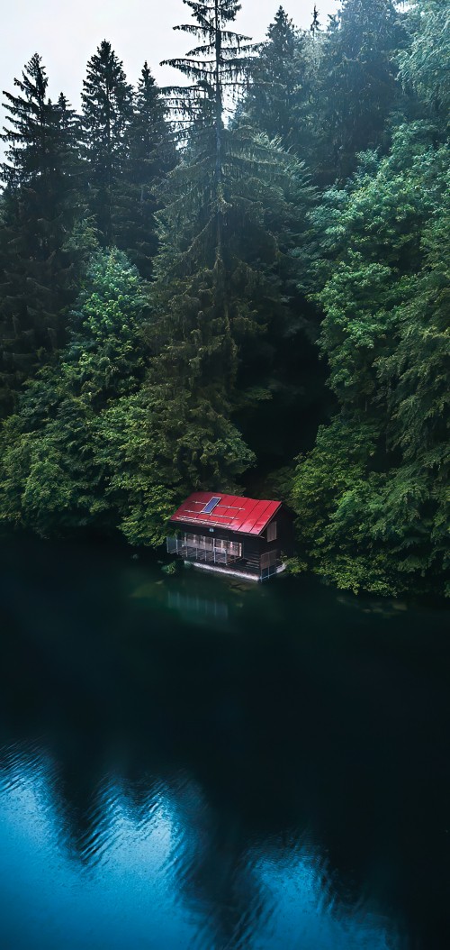 Image larch, damaksnis, water transportation, wetland, water