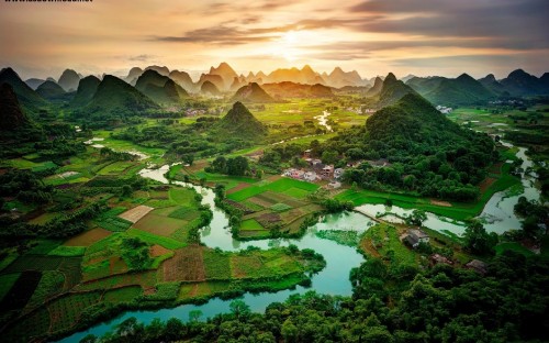 Image aerial view of green trees and river during daytime