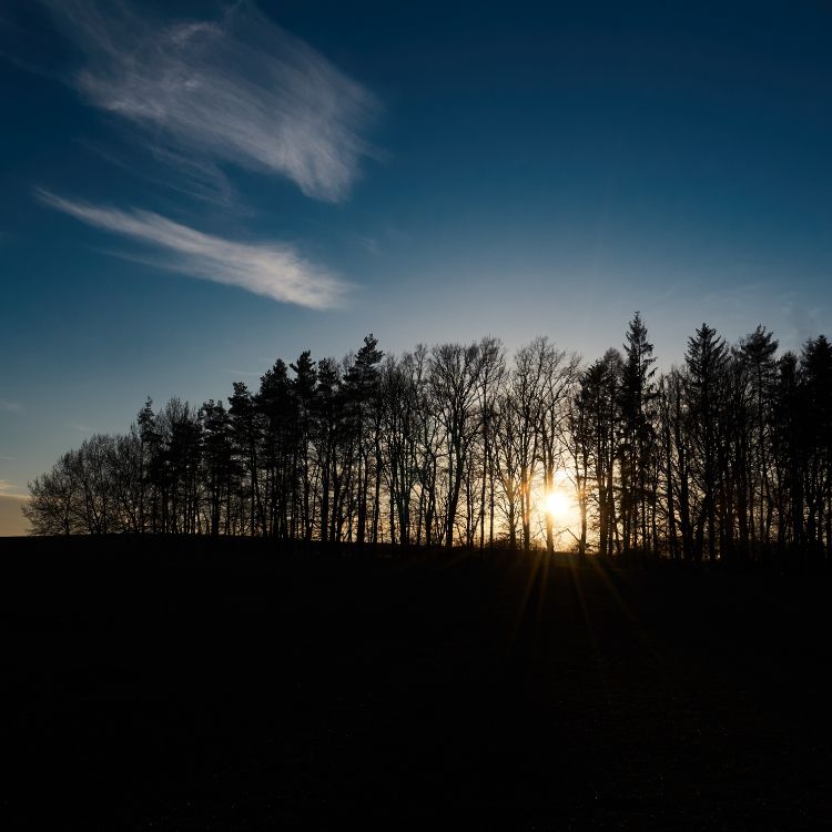 Matin, Aube, Paysage Naturel, Nature, Horizon. Wallpaper in 3765x3765 Resolution