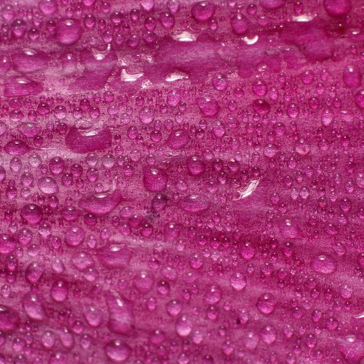 Rosa Und Weiße Abstrakte Malerei. Wallpaper in 2048x2048 Resolution