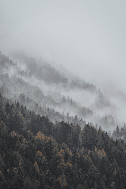 Image mist, fog, cloud, haze, hill station