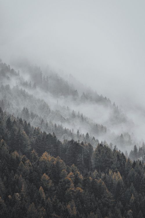 雾, 阴霾, 山站, 气氛, 天空 壁纸 3840x5760 允许