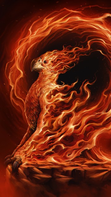 Phoenix Hogwarts Castle School Fantastic Beasts 3 4K Wallpaper iPhone HD  Phone #7670f