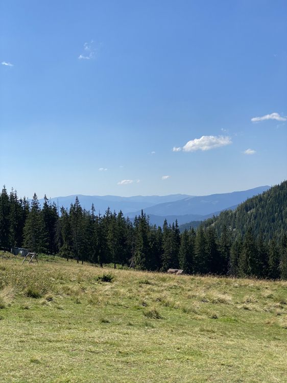 Danville, Canton de St Clair, Les Terres Beaucoup, Commerciale, Immobilier. Wallpaper in 1536x2048 Resolution