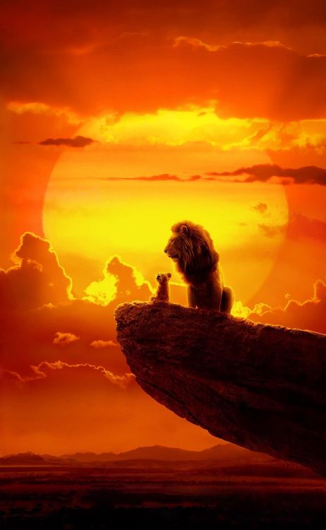 Atmosphère, Afterglow, Nature, Orange. Wallpaper in 1710x2772 Resolution