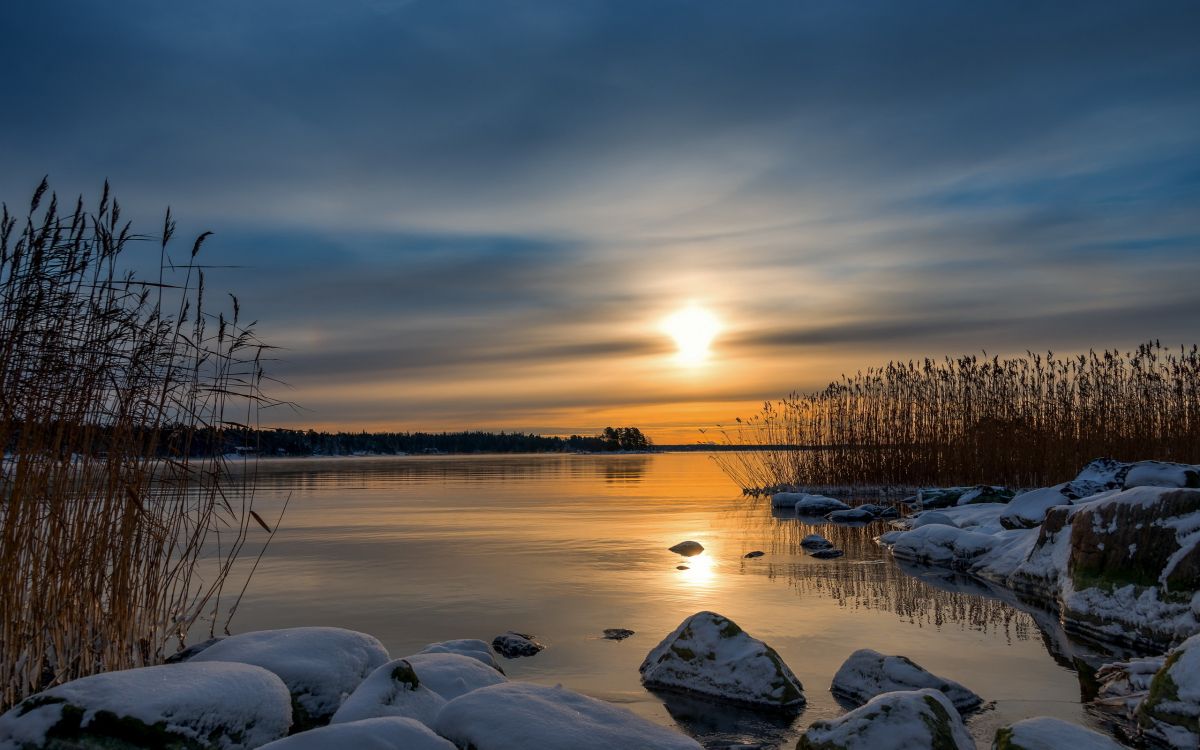 body of water near trees during sunset