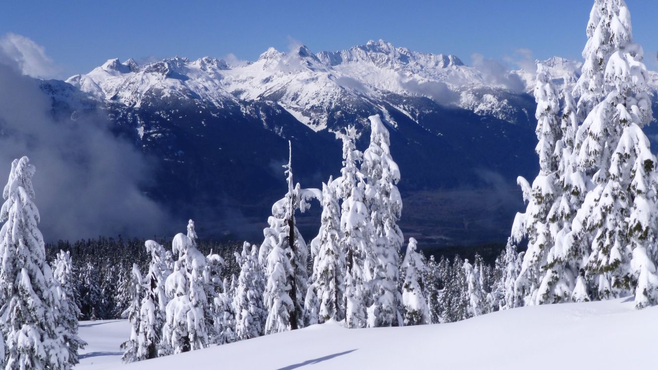 snow covered mountain during daytime