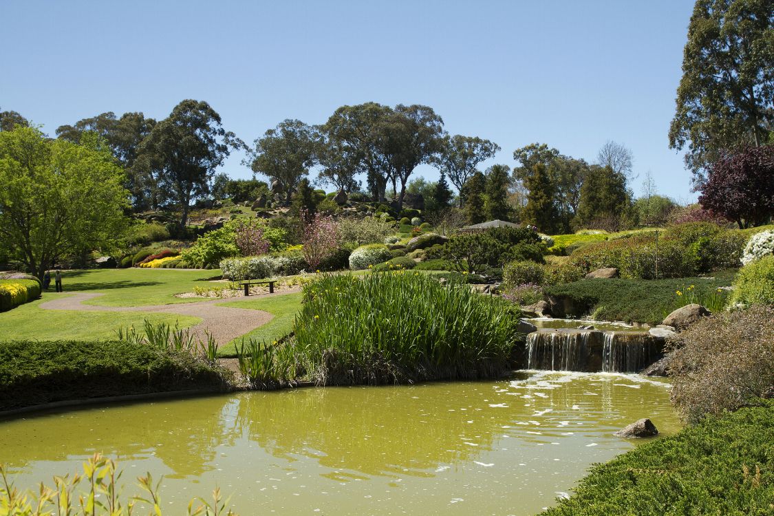 green grass field near body of water during daytime