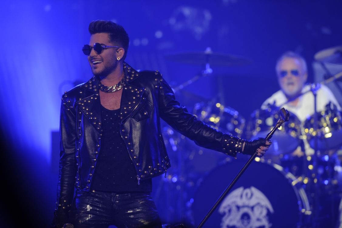 music artist, Adam Lambert, rock concert, artist, concert