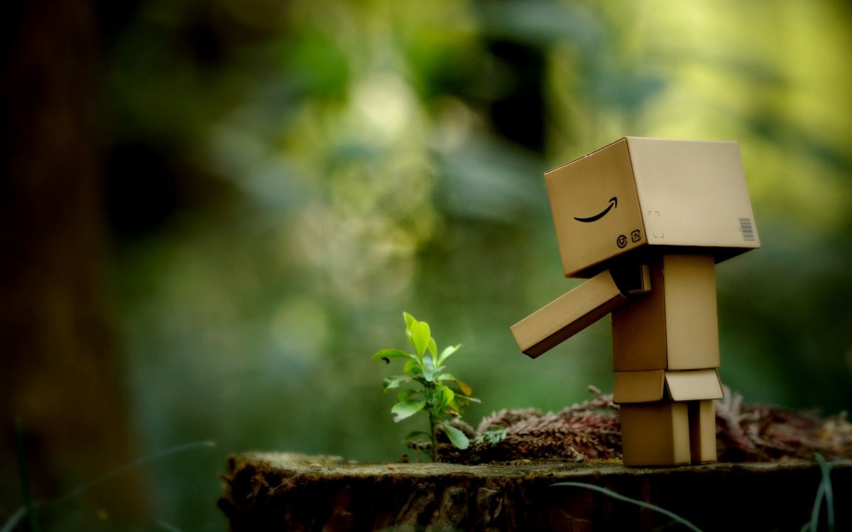 Robot de Boîte en Carton Marron Sur Bûche de Bois Marron. Wallpaper in 2560x1600 Resolution