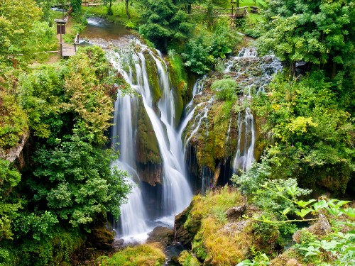 Image water falls in the middle of green trees