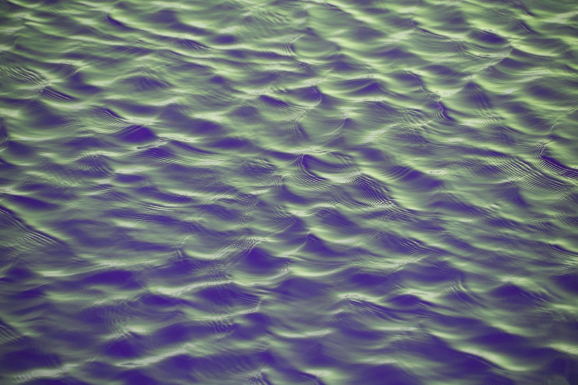 Violeta, Morado, Verde, Agua, de Cerca. Wallpaper in 6000x4000 Resolution