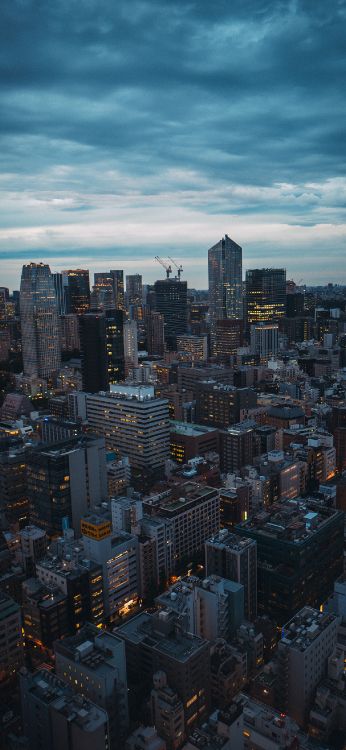 tokyo tower, building, tower block, daytime, urban area