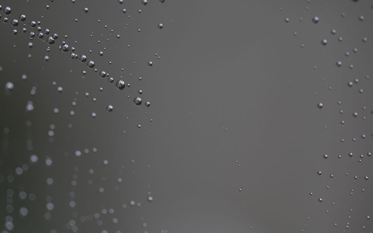 Wassertropfen Auf Klarglas. Wallpaper in 2560x1600 Resolution