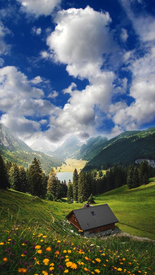 Image nature, Meter, sunlight, cloud, plant