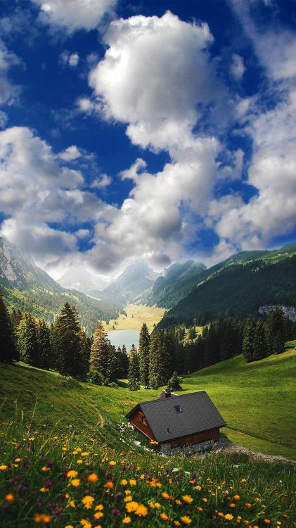 nature, Meter, sunlight, cloud, plant