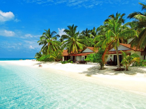 Image brown wooden beach lounge chairs on white sand beach during daytime