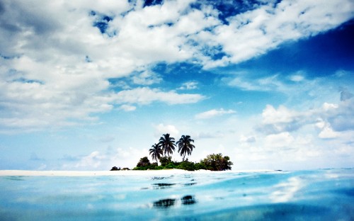 Image palm tree on beach under blue sky and white clouds during daytime