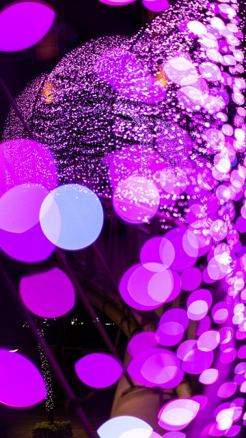 Image purple and pink light bokeh