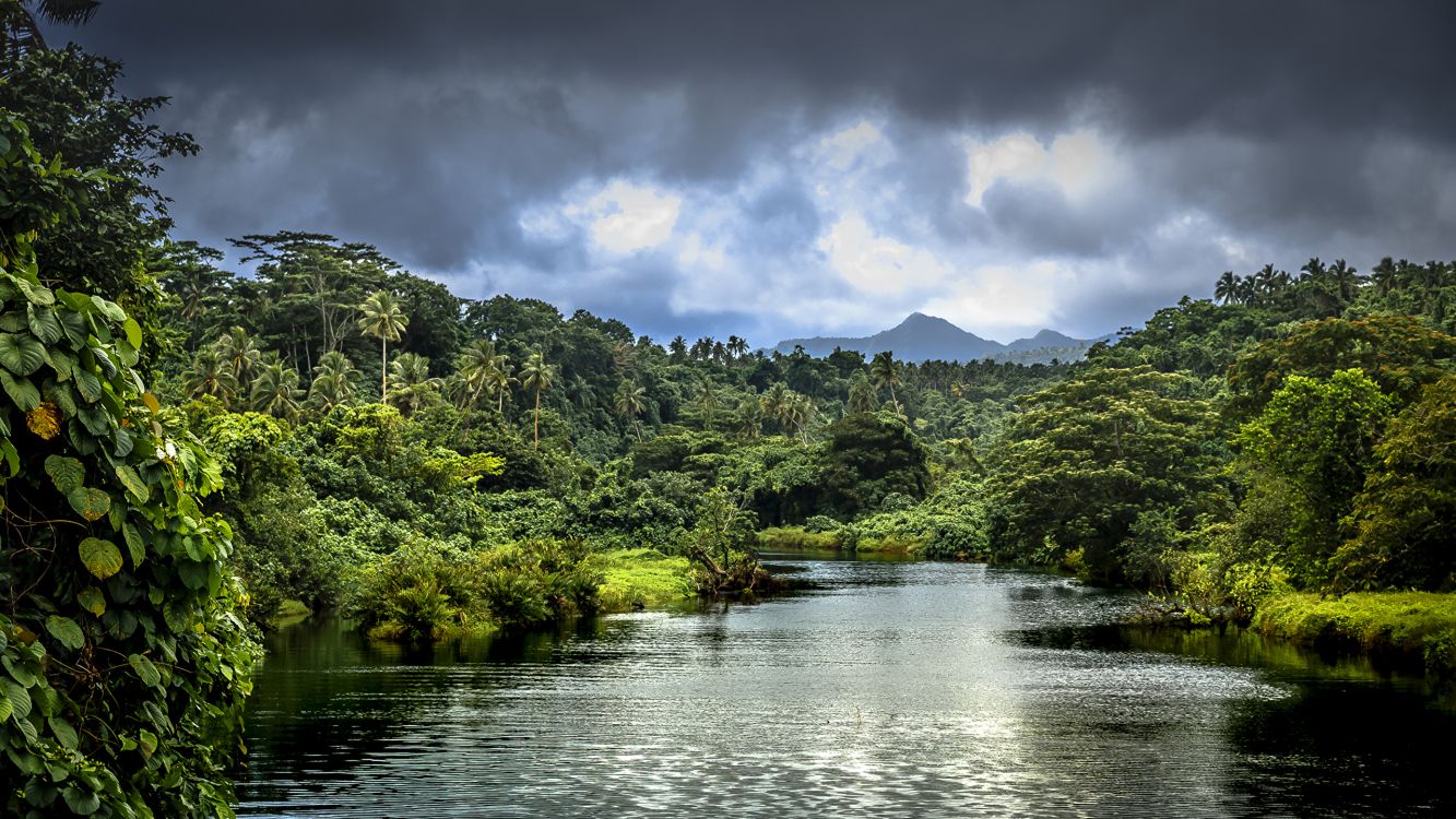 Green Trees Beside River Under Cloudy Sky During Daytime. Wallpaper in 2560x1440 Resolution