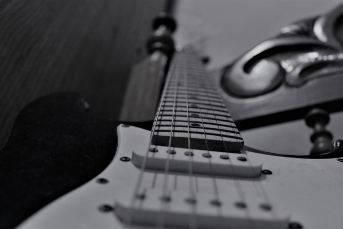低音吉他, 黑色和白色的, 电吉他, 吉他, 拨弦乐器 壁纸 5184x3456 允许