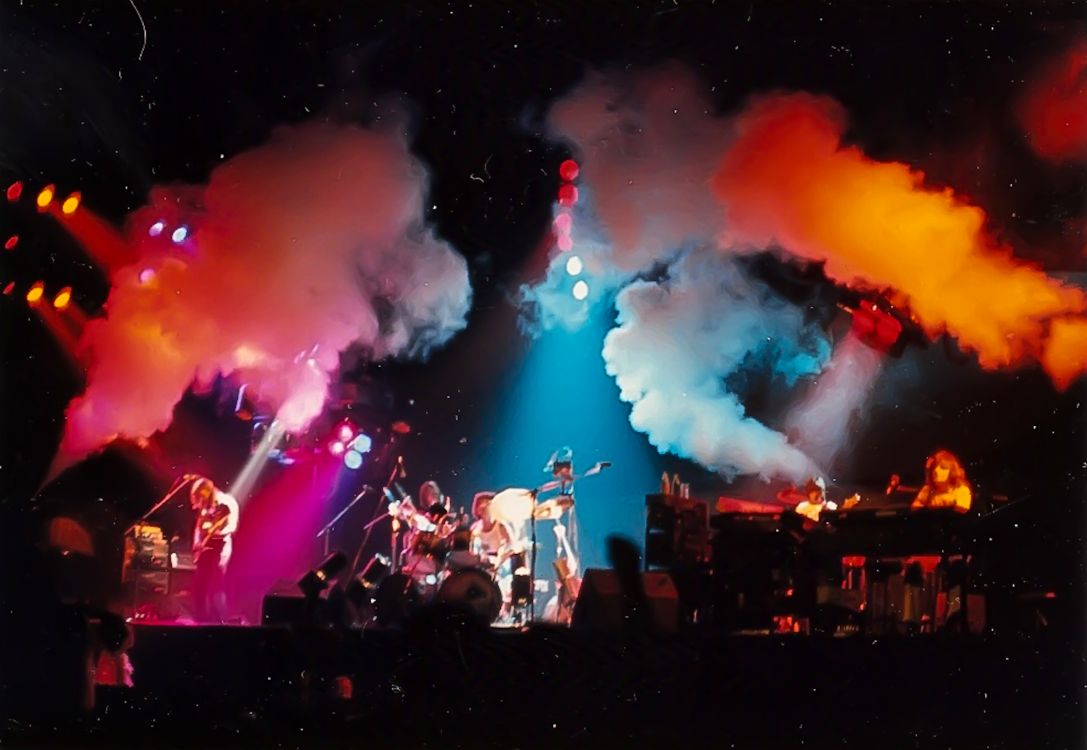 Madison Square Garden, Pink Floyd, concert, animals, performance