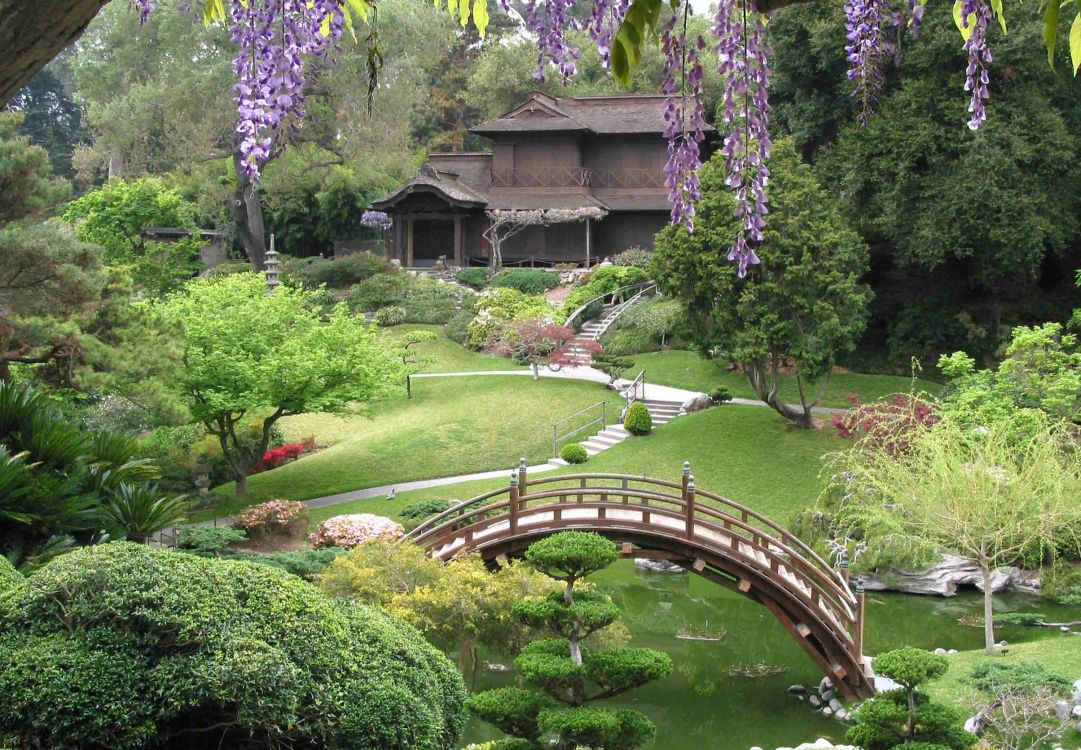 Pont en Bois Brun Au-dessus du Champ D'herbe Verte. Wallpaper in 3000x2080 Resolution