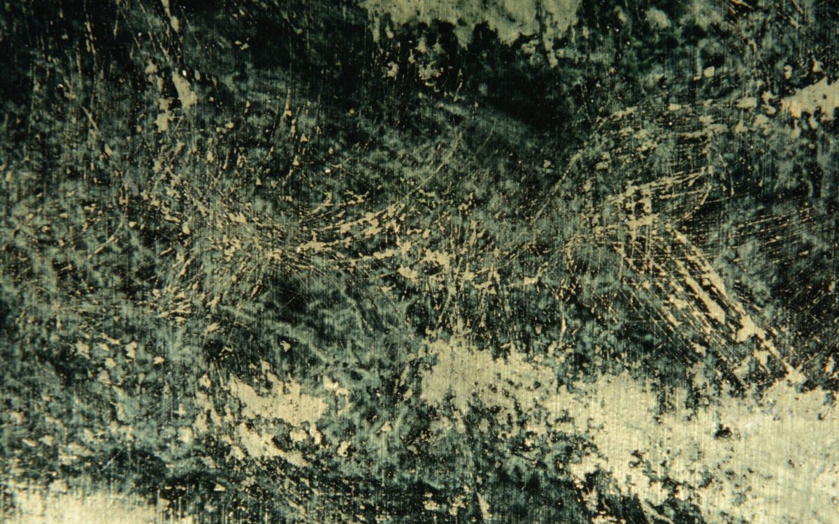 植被, 草, 的土壤, 本书, 工厂 壁纸 2560x1600 允许